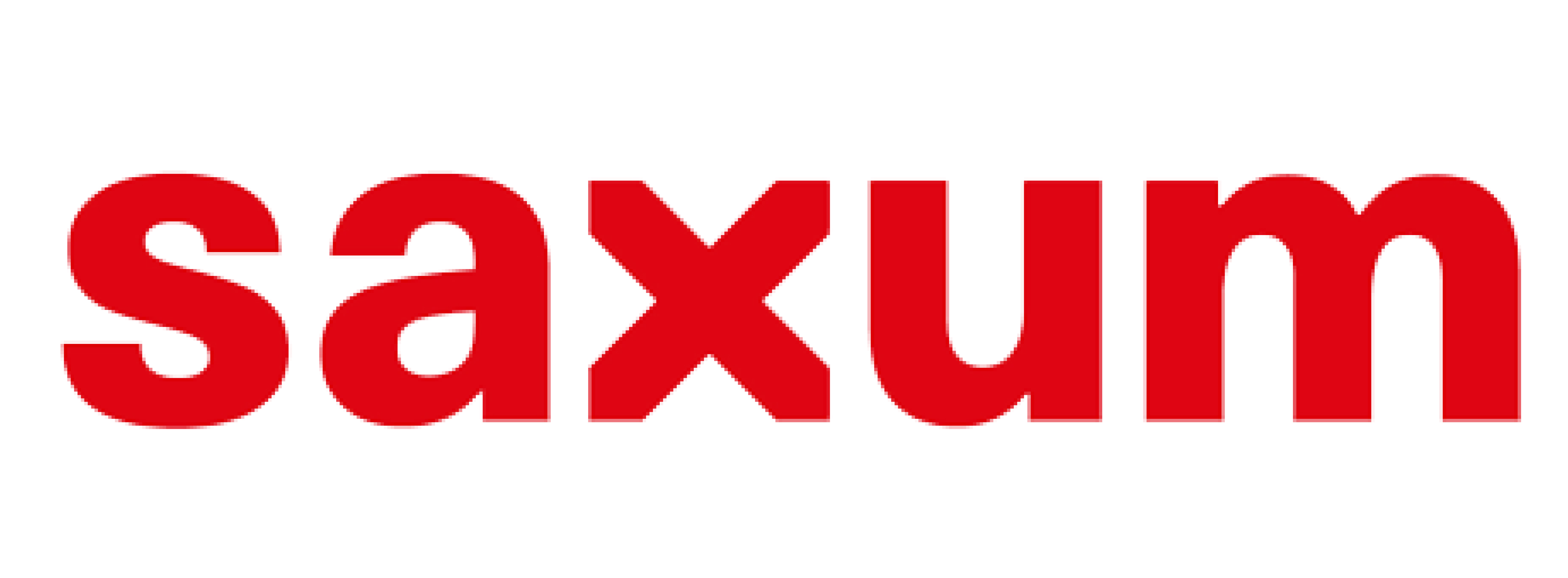 Saxum Consultora Logo